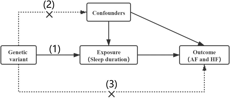 FIGURE 1