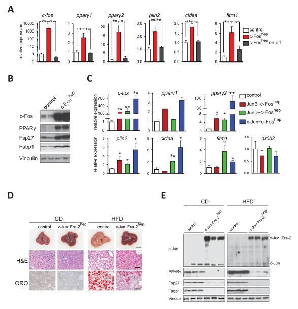 Figure6