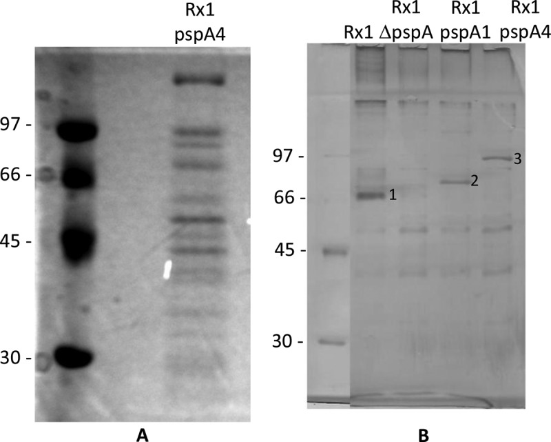 FIG 2