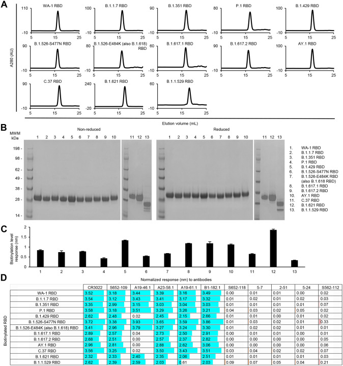 Fig 6.