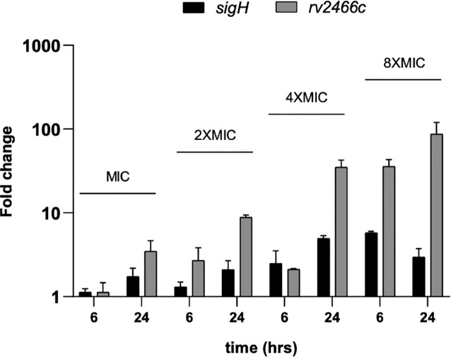 Figure 6.