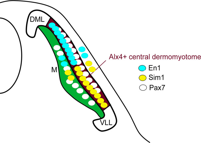 Fig. 4