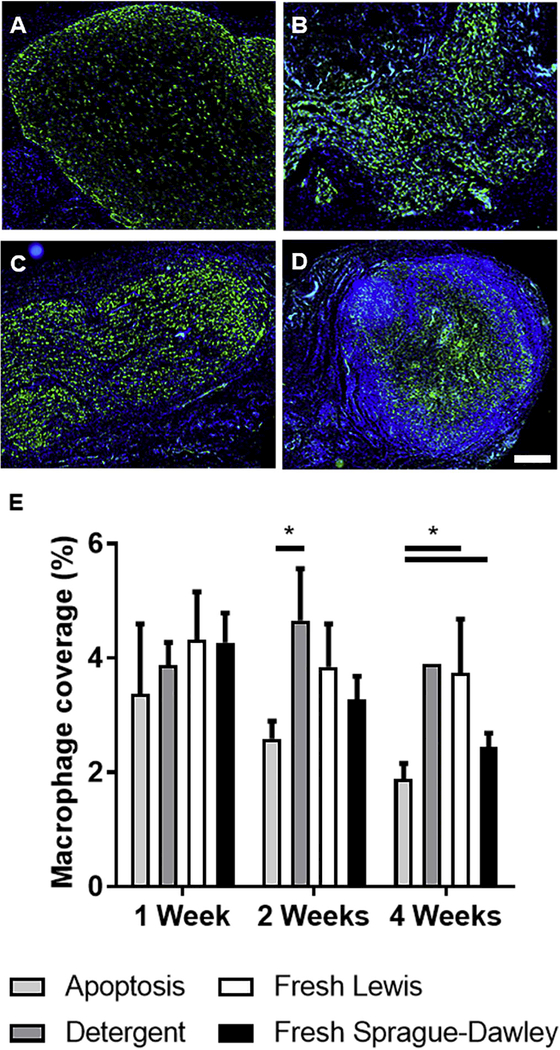 Figure 6: