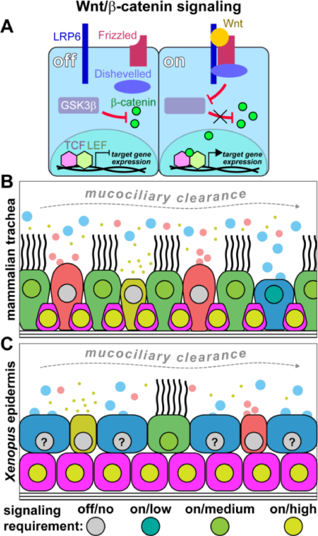 Figure 2: