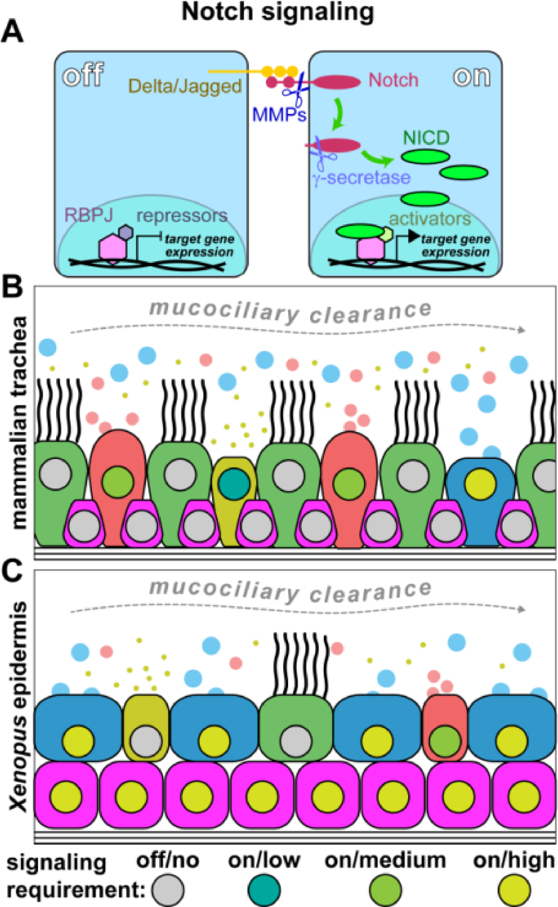 Figure 3: