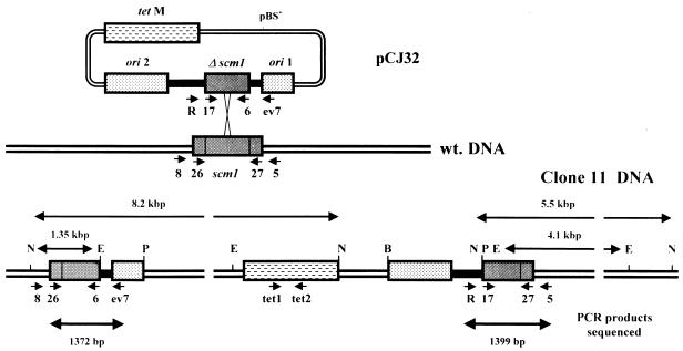 FIG. 3