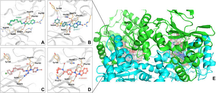 FIGURE 2