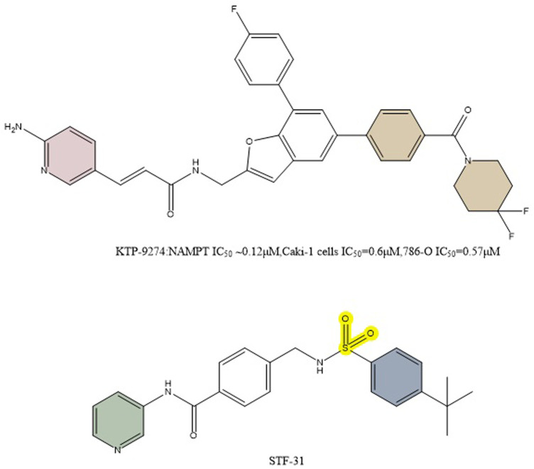 FIGURE 10