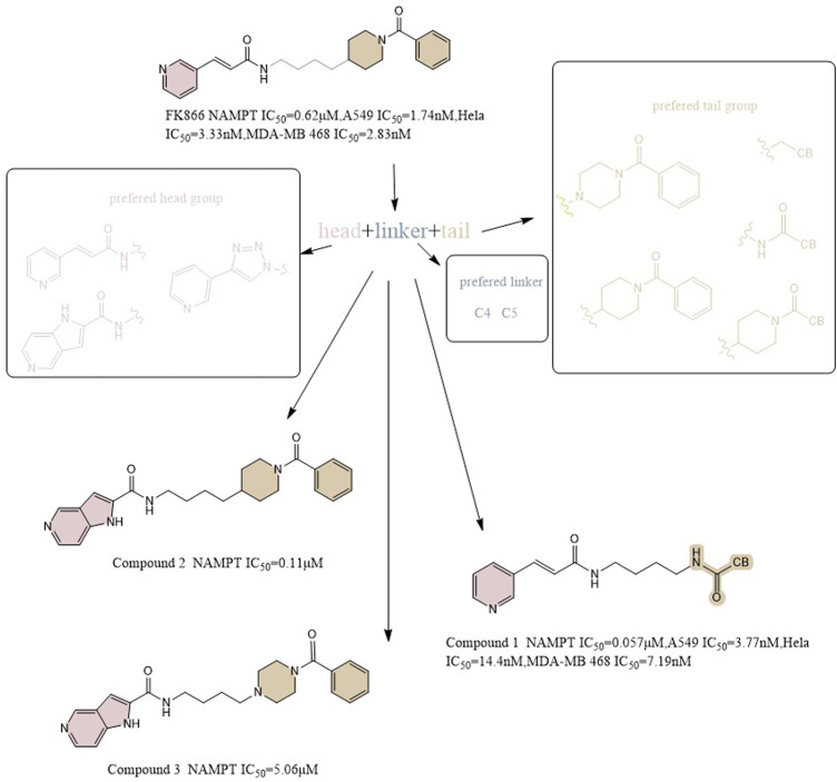 FIGURE 4