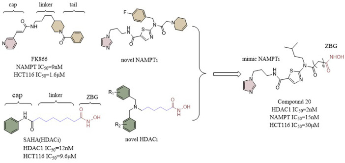 FIGURE 11