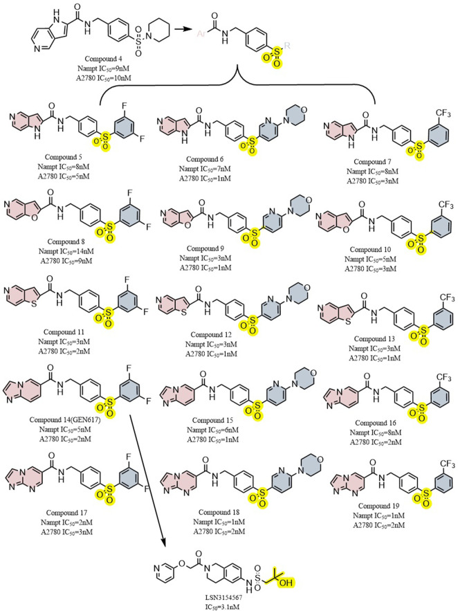 FIGURE 6