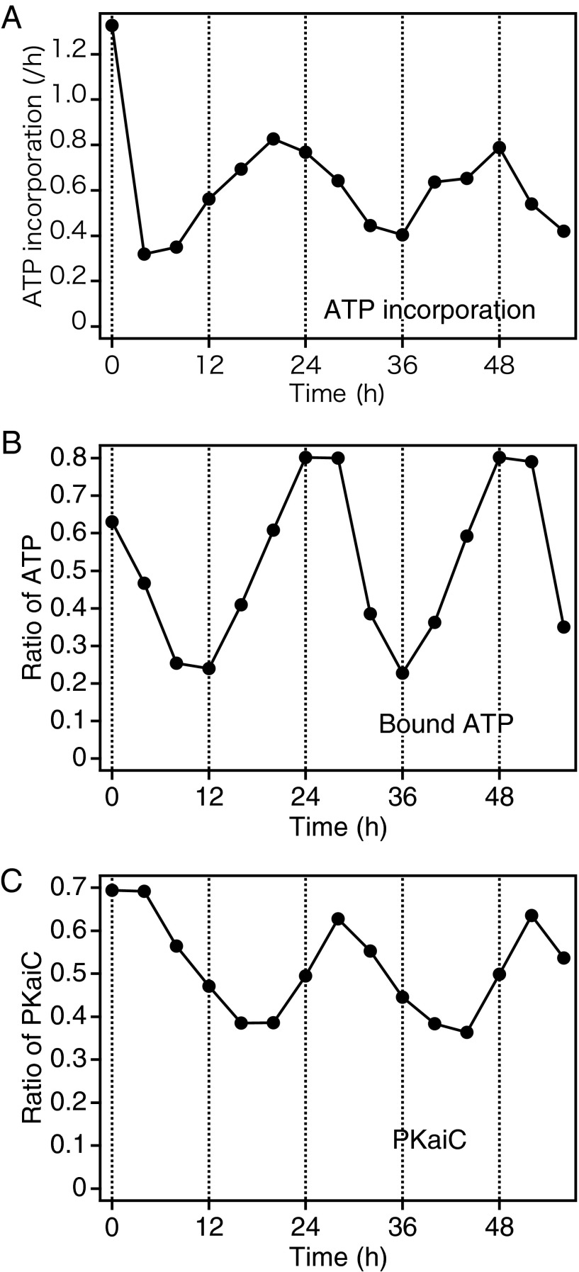 Fig. 3.