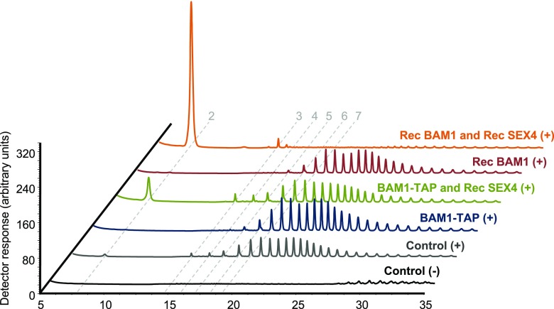 Figure 7.