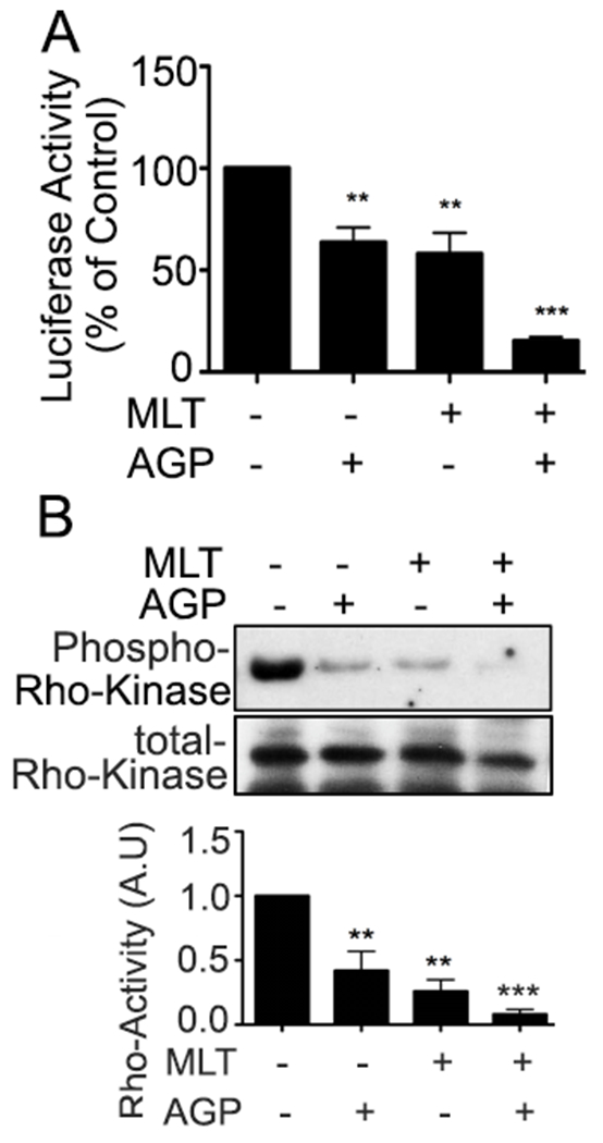 Figure. 4.