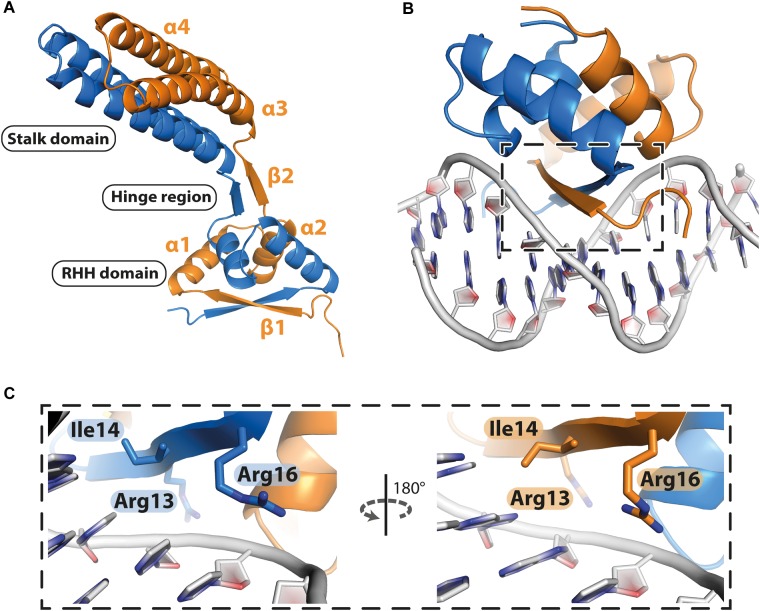 FIGURE 2