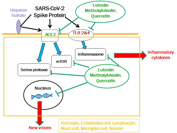 Fig. 2.