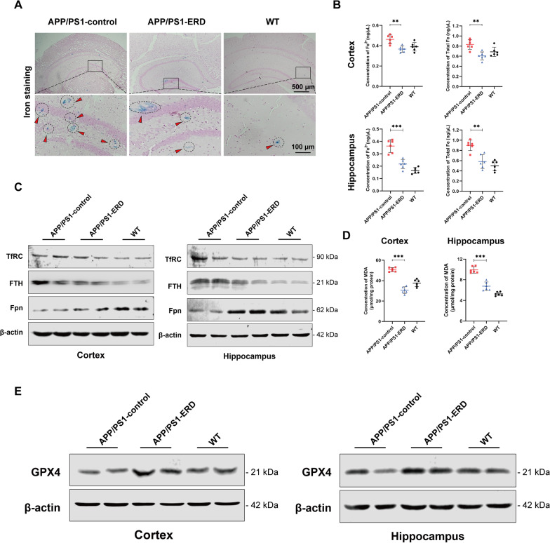 Fig. 4