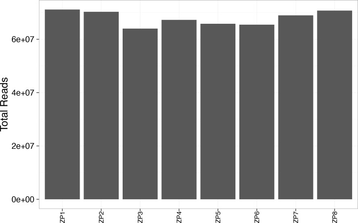 Figure 2—figure supplement 8.