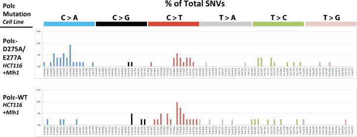 Figure 4—figure supplement 1.