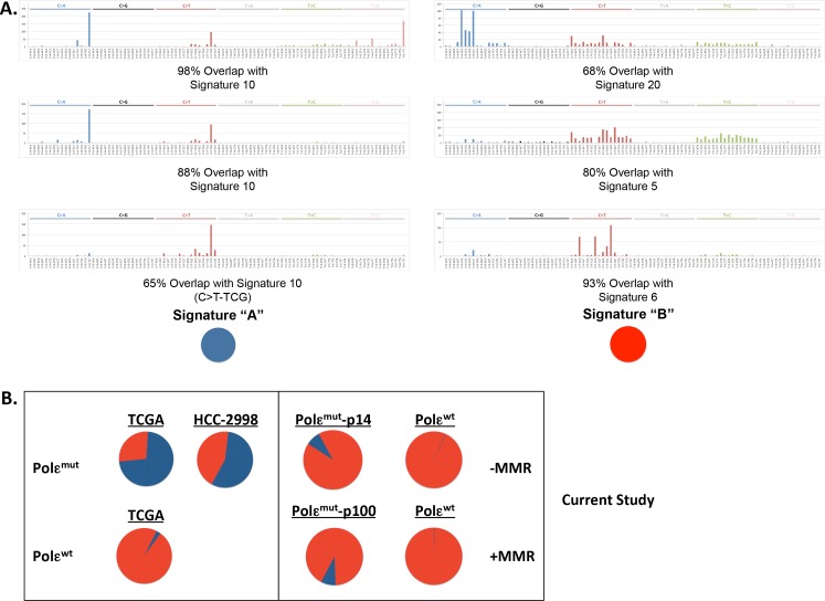 Figure 2—figure supplement 2.