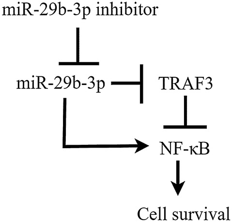 Fig. 6