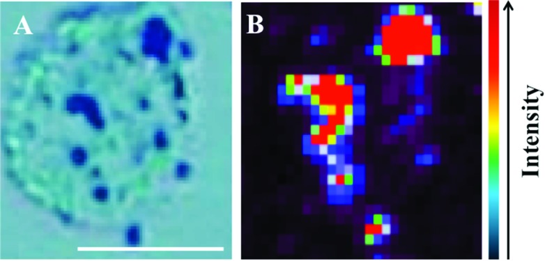 Fig. 2