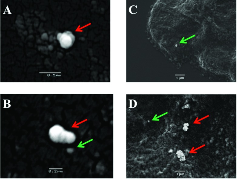 Fig. 4