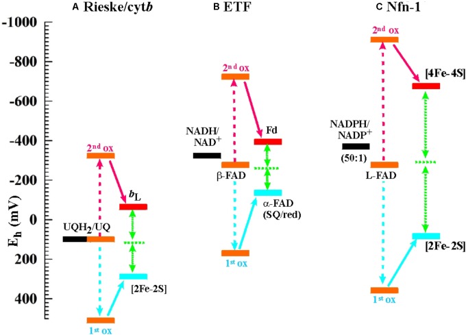 FIGURE 2