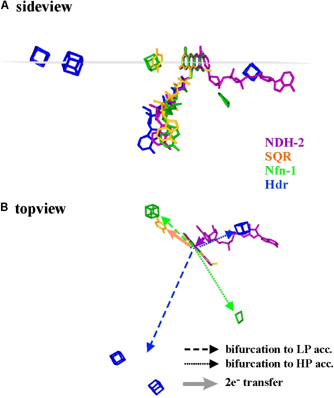 FIGURE 4