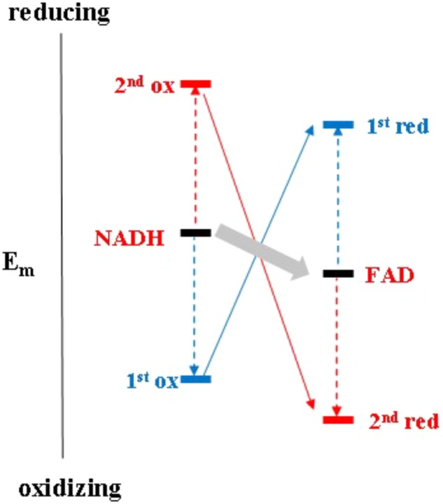 FIGURE 3