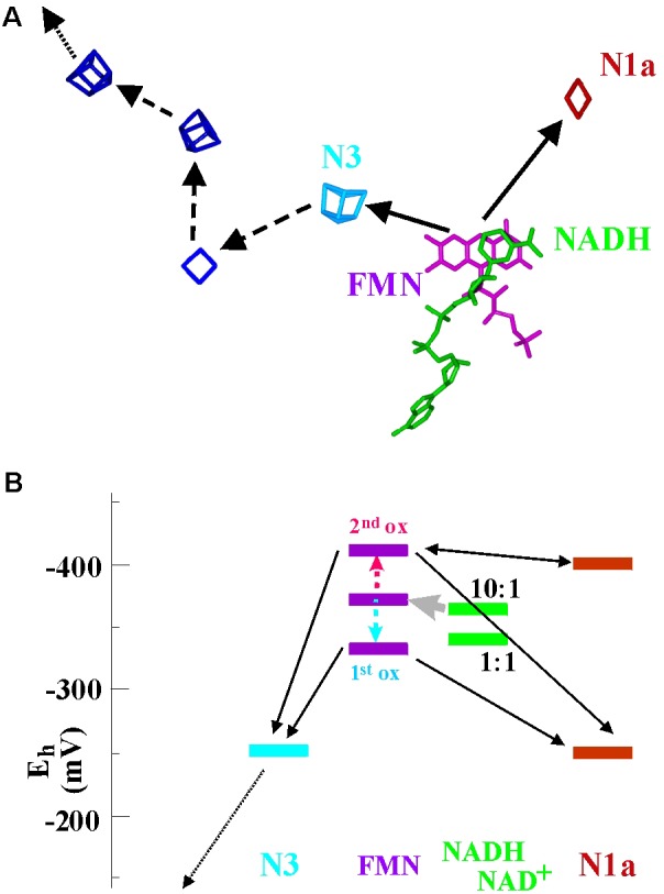 FIGURE 6