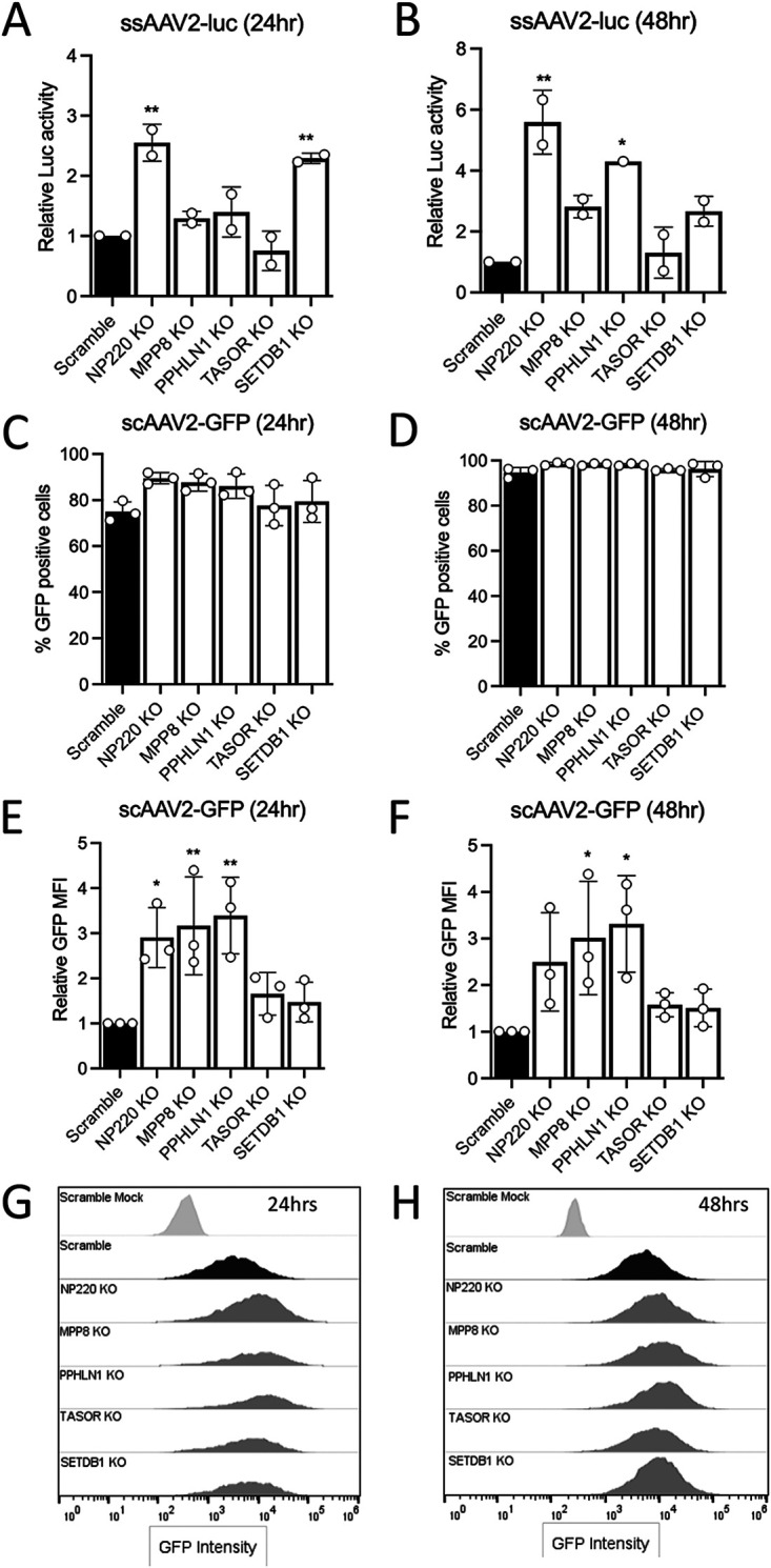 FIG 2