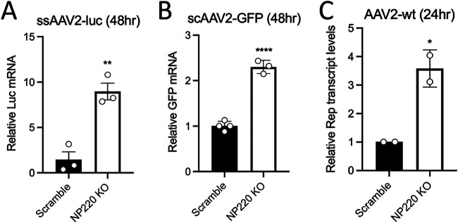 FIG 3