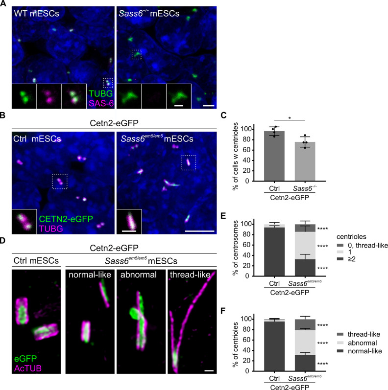 Figure 3—figure supplement 1.