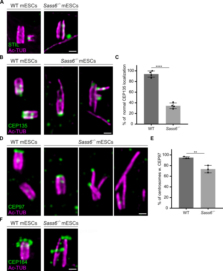 Figure 4—figure supplement 1.