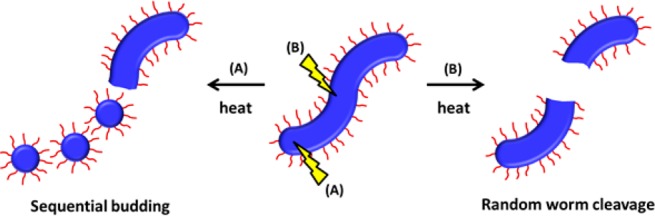 Figure 8