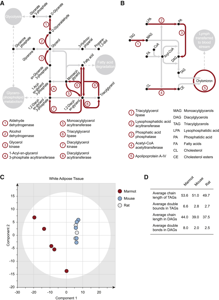 Figure 2