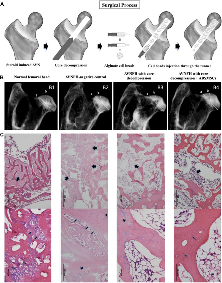 FIGURE 2