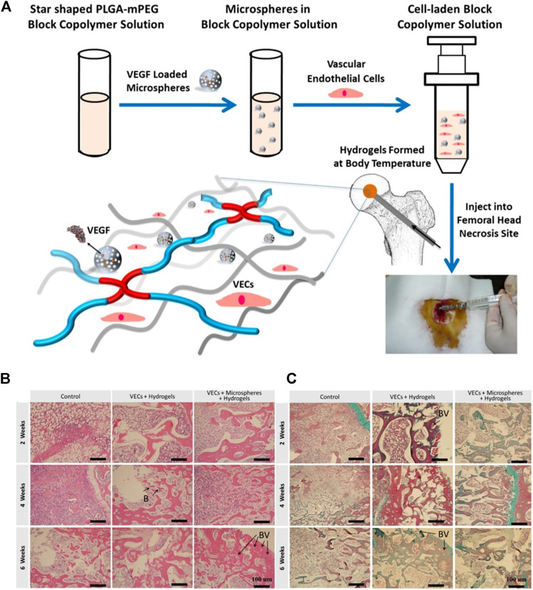 FIGURE 11