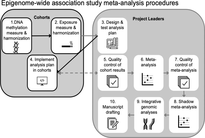 Figure 3 is a flowchart titled Epigenome-wide association study meta-analysis procedures, which has ten steps. Step 1: Under cohorts, D.N.A. methylation measure and harmonization Step 2: Under cohorts, the exposure measure and harmonization Step 3: Under project leaders, design, and test analysis plan. Step 4: Under cohorts, implement the analysis plan in chords. Step 5: Under project leaders, quality control of cohort results Step 6, under project leaders, is meta-analysis. Step 7: Under project leaders, quality control of meta-analysis Step 8: Under project leaders, shadow meta-analysis. Step 9: Under project leaders, integrate genomic analysis. Step 10: Manuscript drafting under the supervision of project leaders.