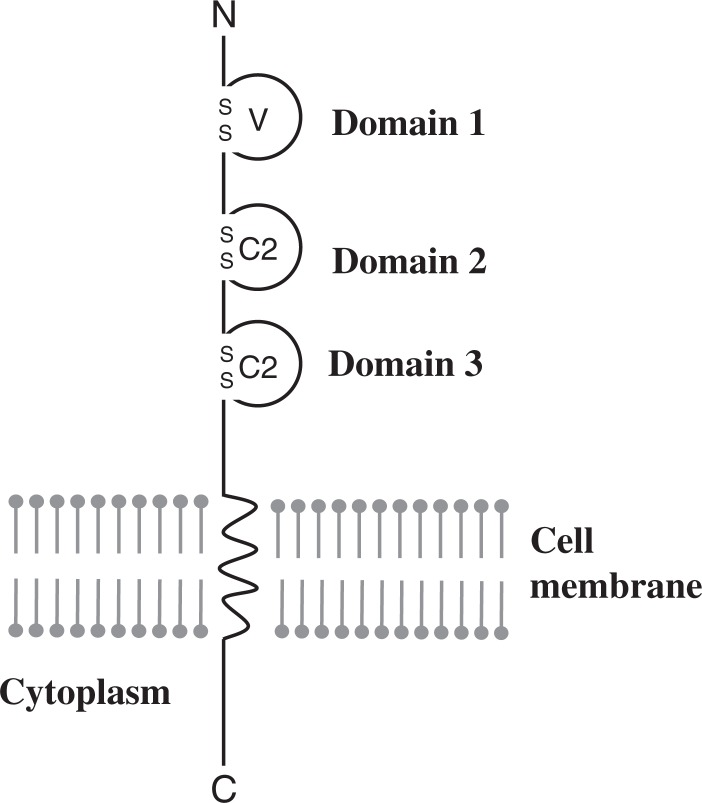 Fig. 3.