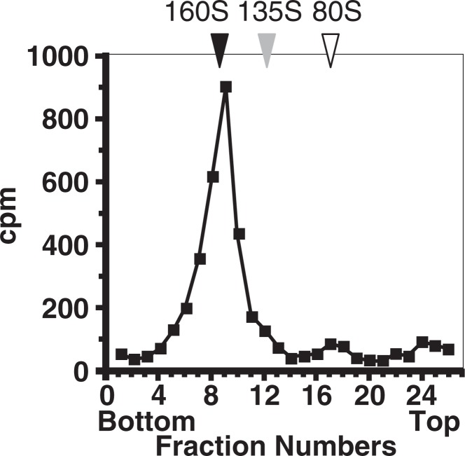 Fig. 9.