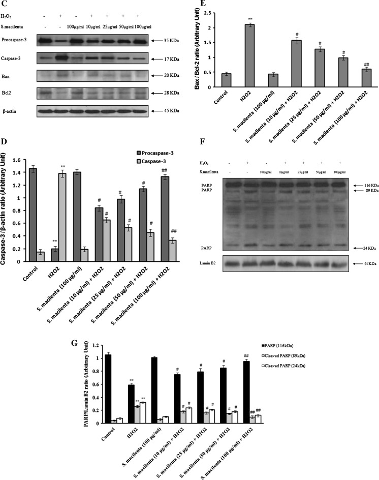 Fig. 3