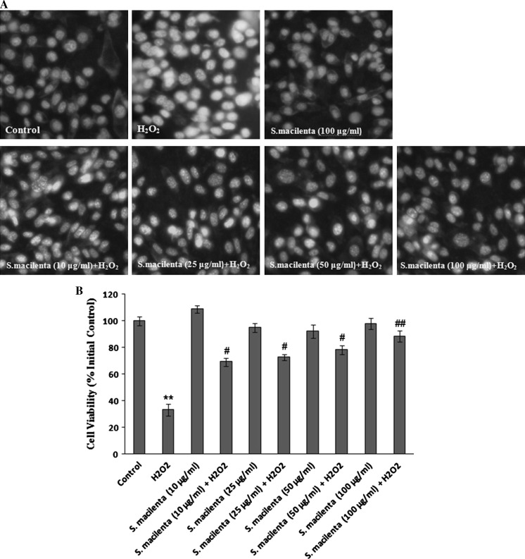 Fig. 3