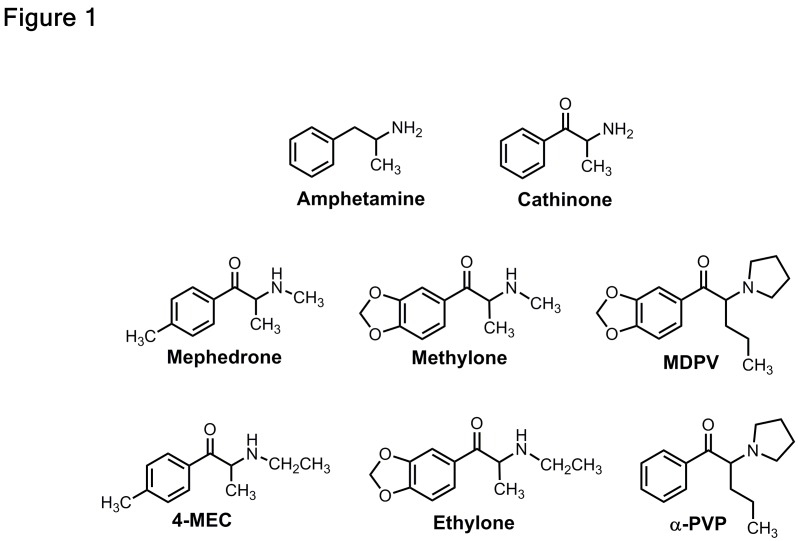 Figure 1.