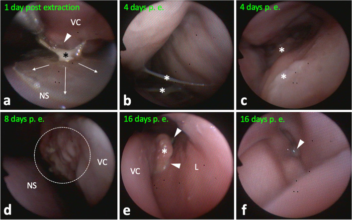 Fig. 9