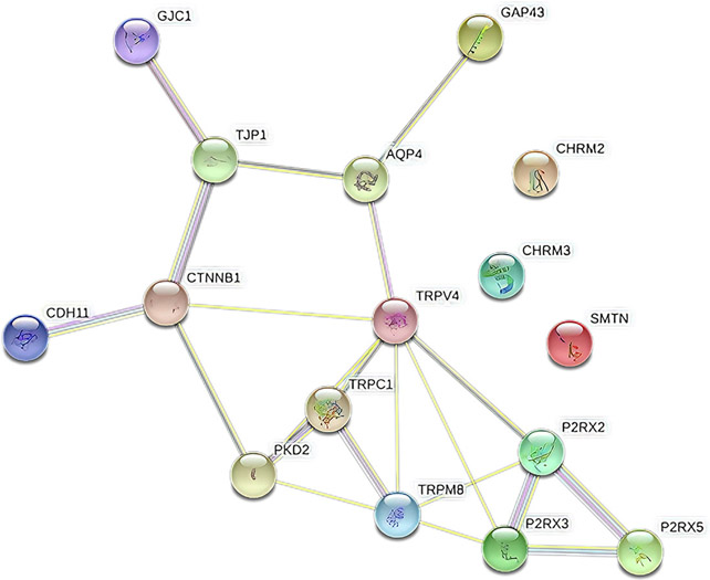 FIGURE 4