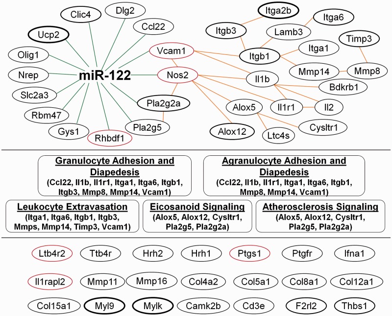 Figure 5.