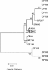 FIG. 1.