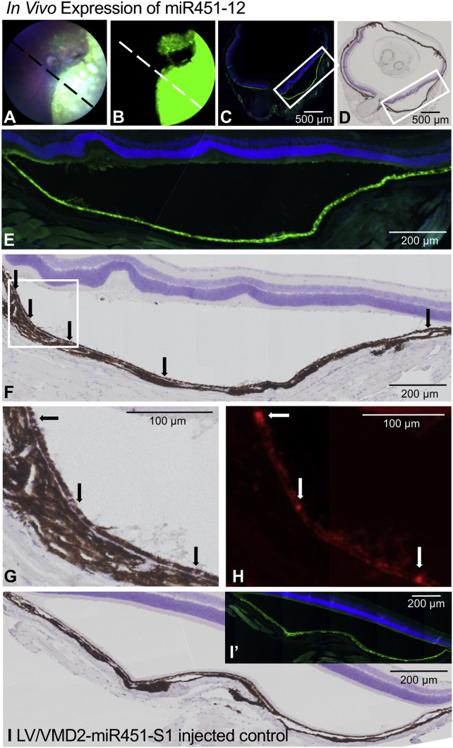 Figure 6